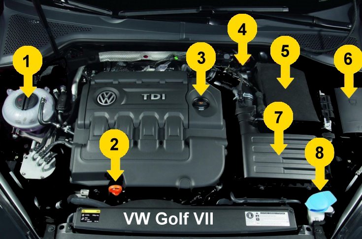 Liste mit allen Birnen für den VW Golf 7 3-/5-Türer & Variant